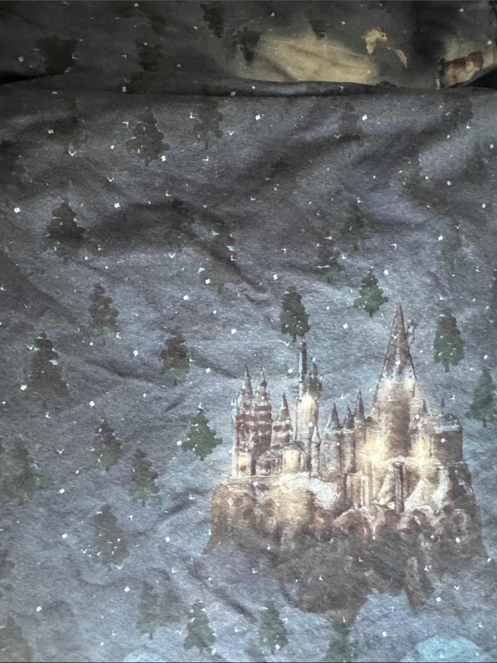 Pottery Barn Teen Christmas at Hogwarts sheet set. Harry Potter - Picture 3 of 5